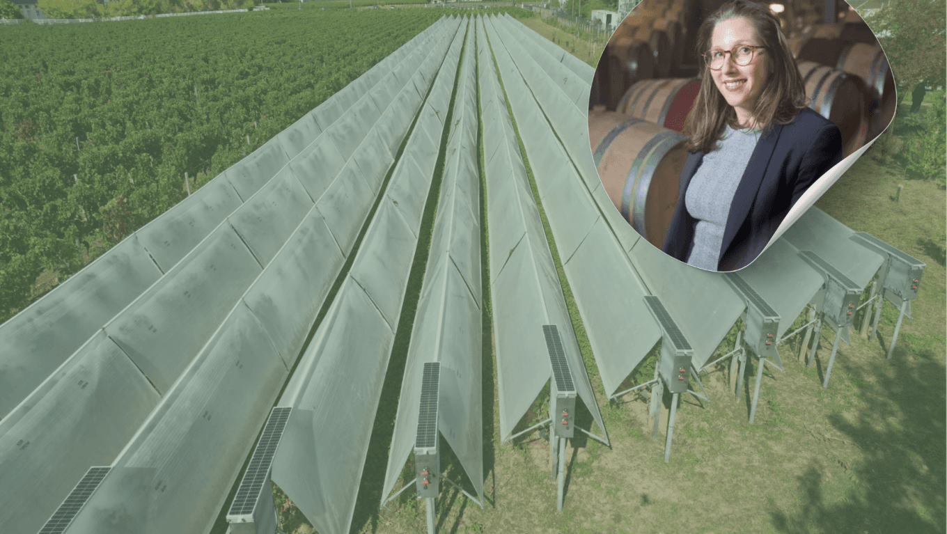 L'oeil de Johanna Dayer - Viti-Tunnel